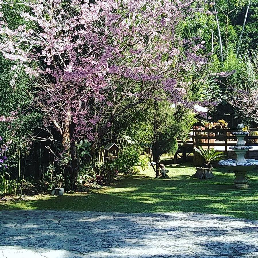 Havila Arara Azul Nova Friburgo Esterno foto