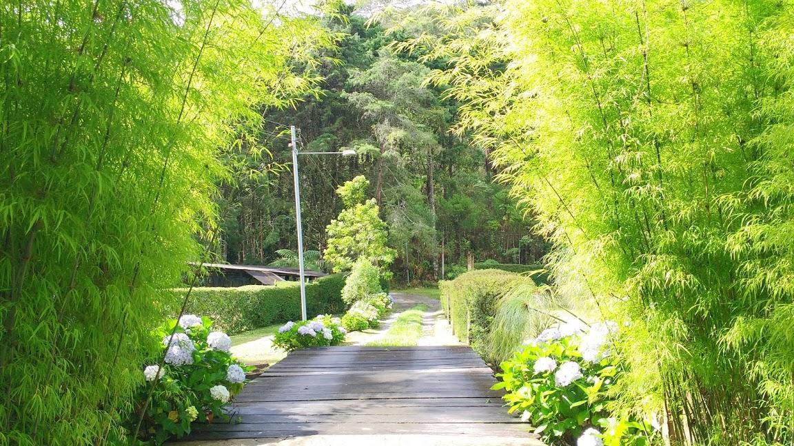 Havila Arara Azul Nova Friburgo Esterno foto